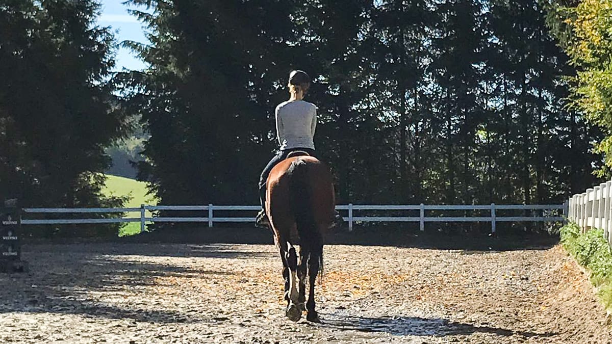 Reiten im Sauerland