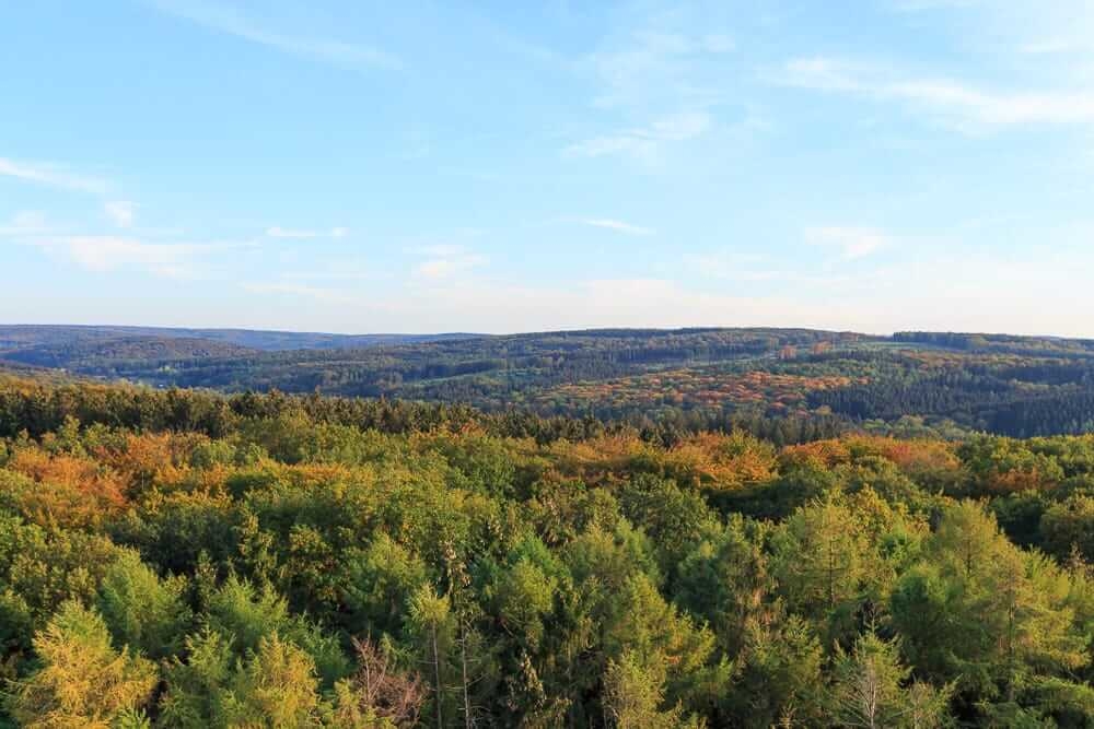 Ausblick vom Möhnesee Turm auf den Arnsberger Wald