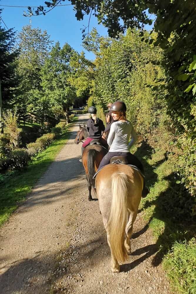Freizeitreiten ist auch ohne eigenes Pferd im Sauerland möglich