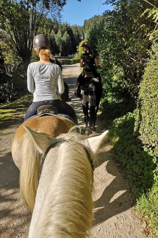 Ein schöner Nachmittag mit Freunden beim Freizeitreiten im Sauerland