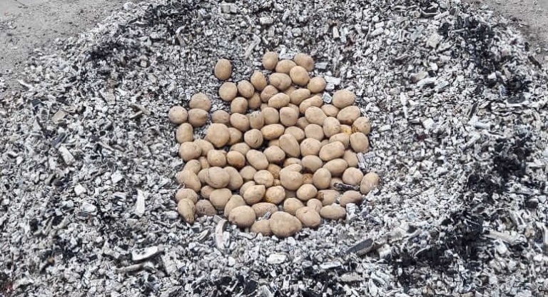 Hier liegen Kartoffeln auf der Asche und sind bereit für das Kartoffelbraten im Sauerland