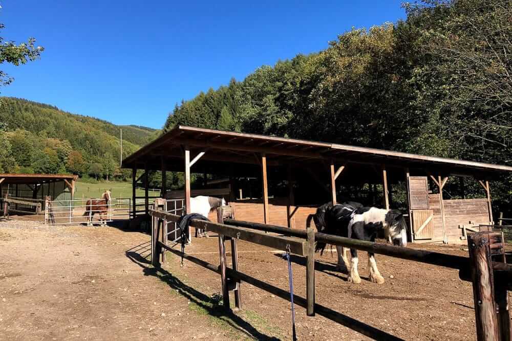 Blick auf einen Stall der Blitz und Donner Ranch im Sauerland wo Reiten ohne eigenes Pferd möglich ist