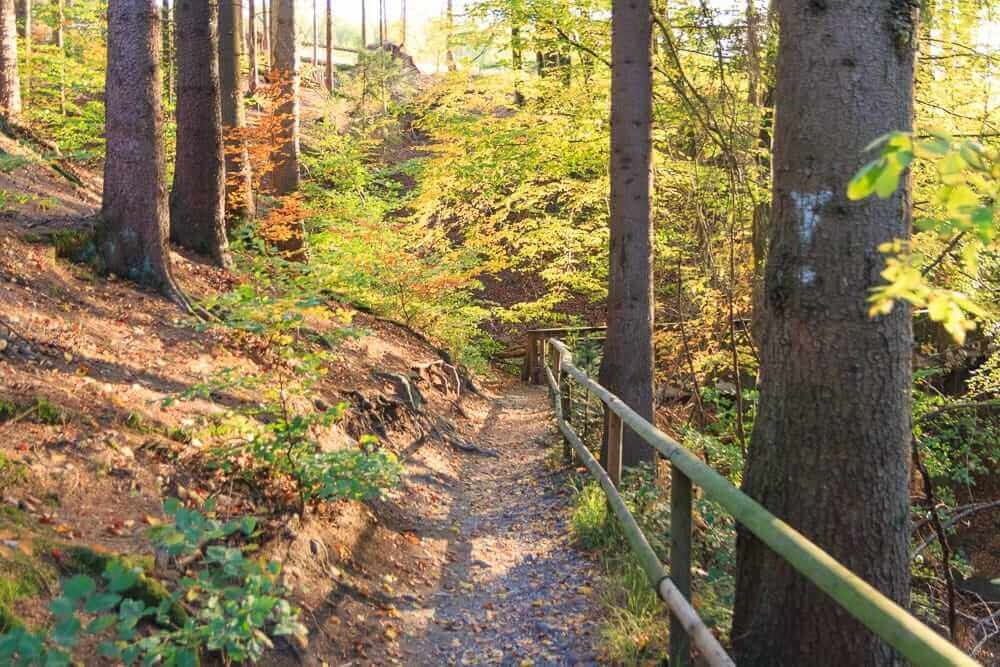 Herbstspaziergang zum Möhnesee-Turm im Herbst