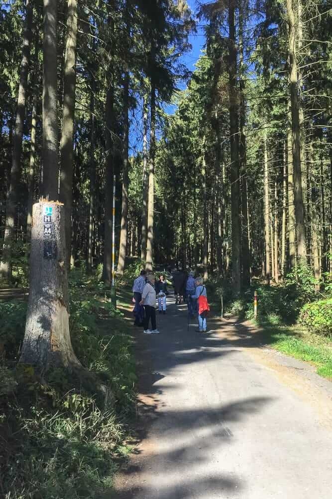 Die Wanderung zum BiggeBlick am Biggesee in Attendorn