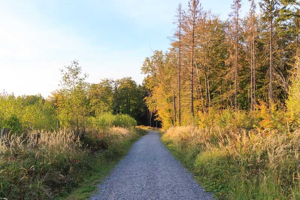 Spaziergang vom Möhneseeturm zum Parkplatz in der Abendsonne