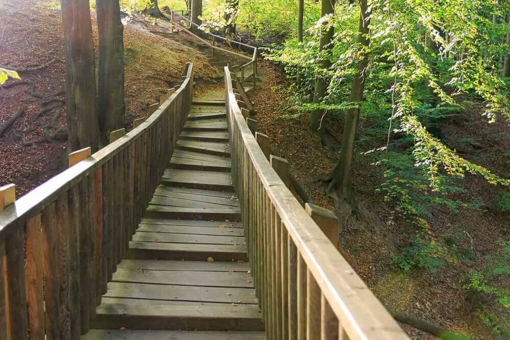 Die unebene Wildbachbrücke im Arnsberger Wald