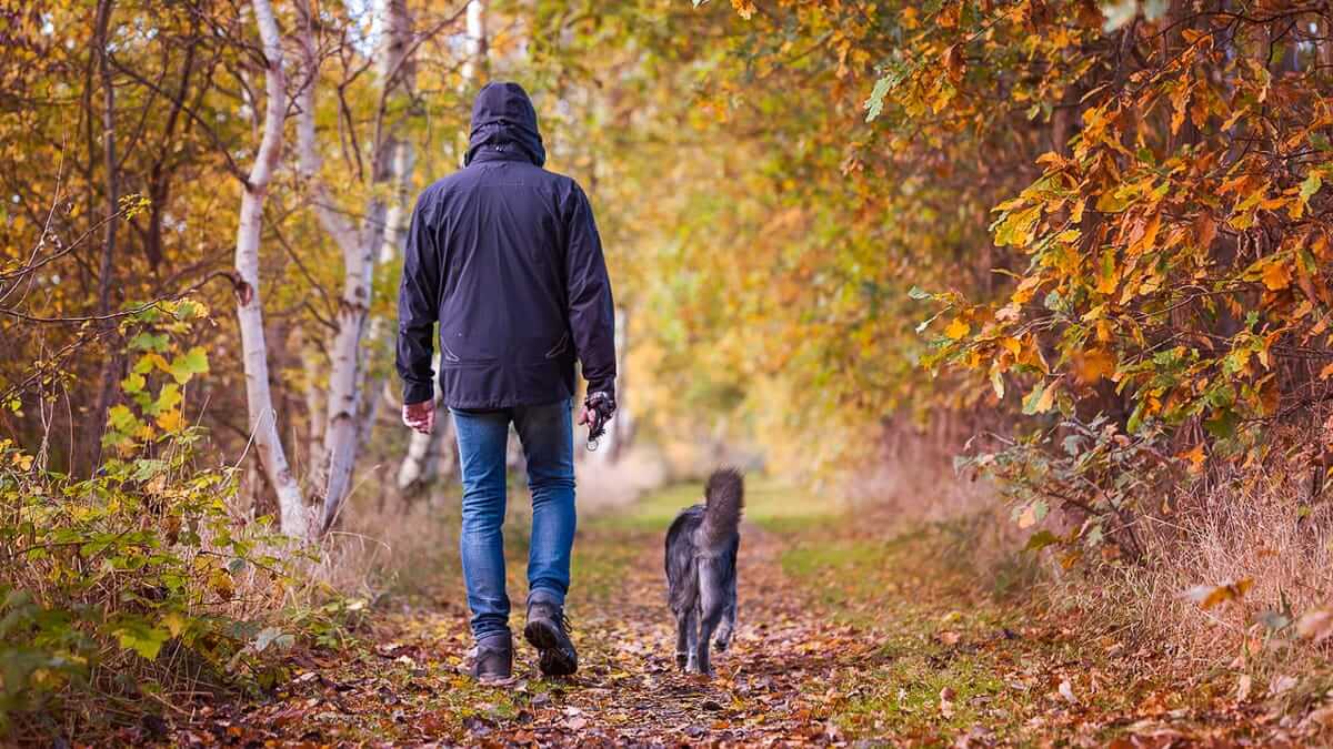 Urlaub mit Hund im Sauerland