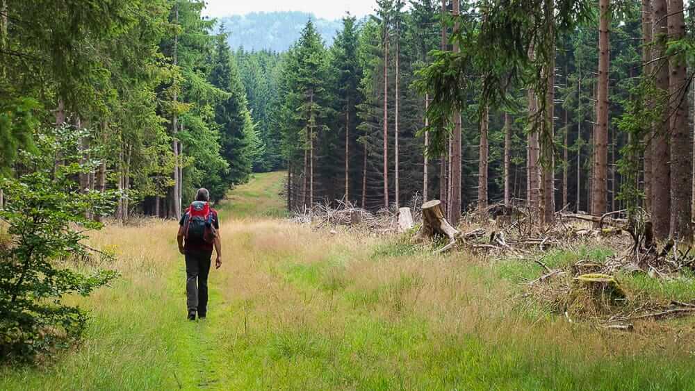 Ein Mann beim Wandern im Sauerland