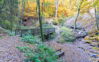 Brücken- und Schluchtenpfad im Sauerland Herbst