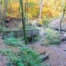 Brücken- und Schluchtenpfad im Sauerland Herbst