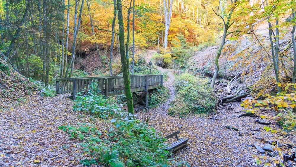 Brücken- und Schluchtenpfad im Sauerland Herbst