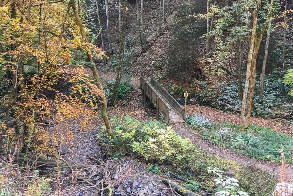Beim Wandern in Winterberg mit tollem Ausblick