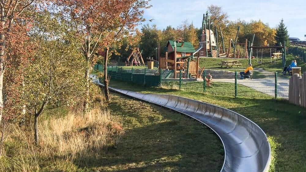 Toller Freizeitspass am Erlebnisberg Kappe in Winterberg ein Ausflug mit Hund im Sauerland