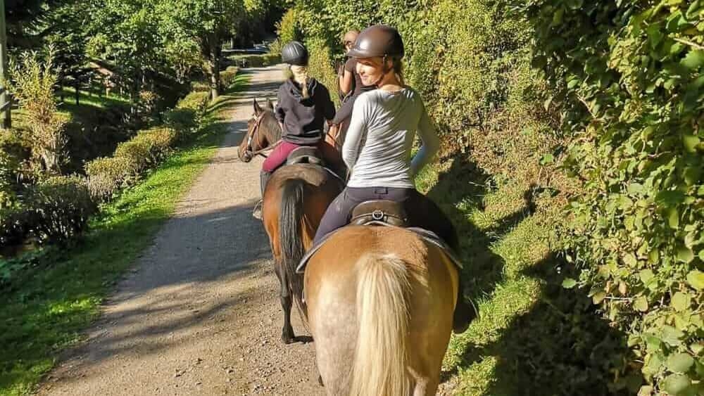 Mit den Pferden in die Natur beim Freizeitreiten im Sauerland