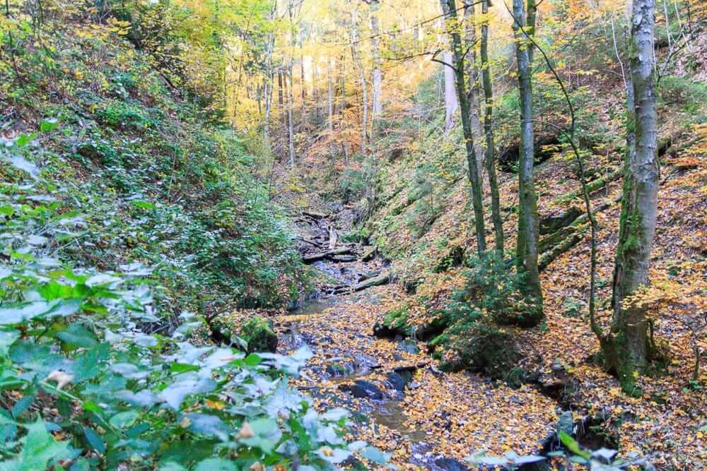In Winterberg wandern durch das Helletal