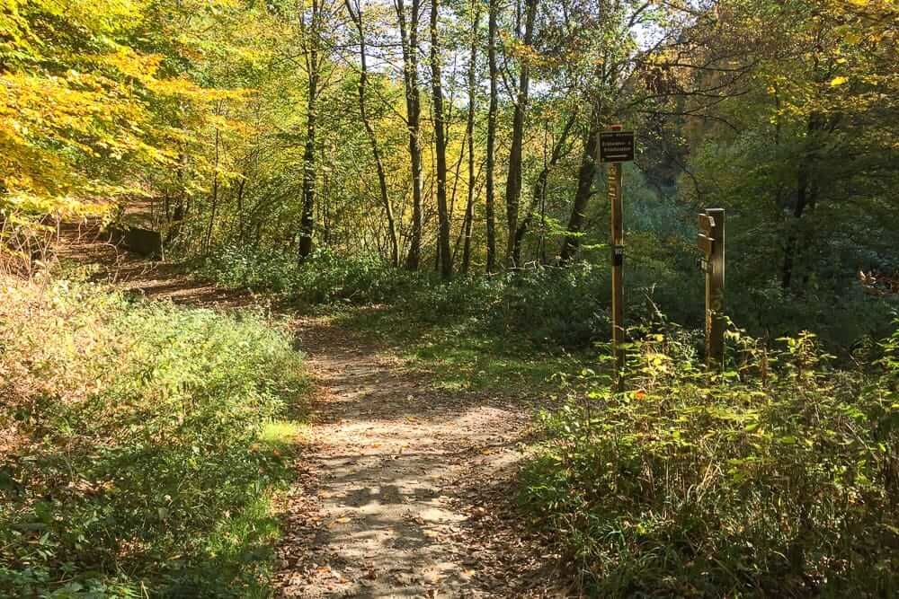 Beim Wandern in Winterberg auf dem Brücken- und Schluchtenpfad