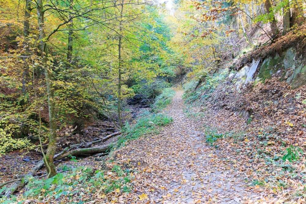 In Winterberg beim Wandern durch das Helletal