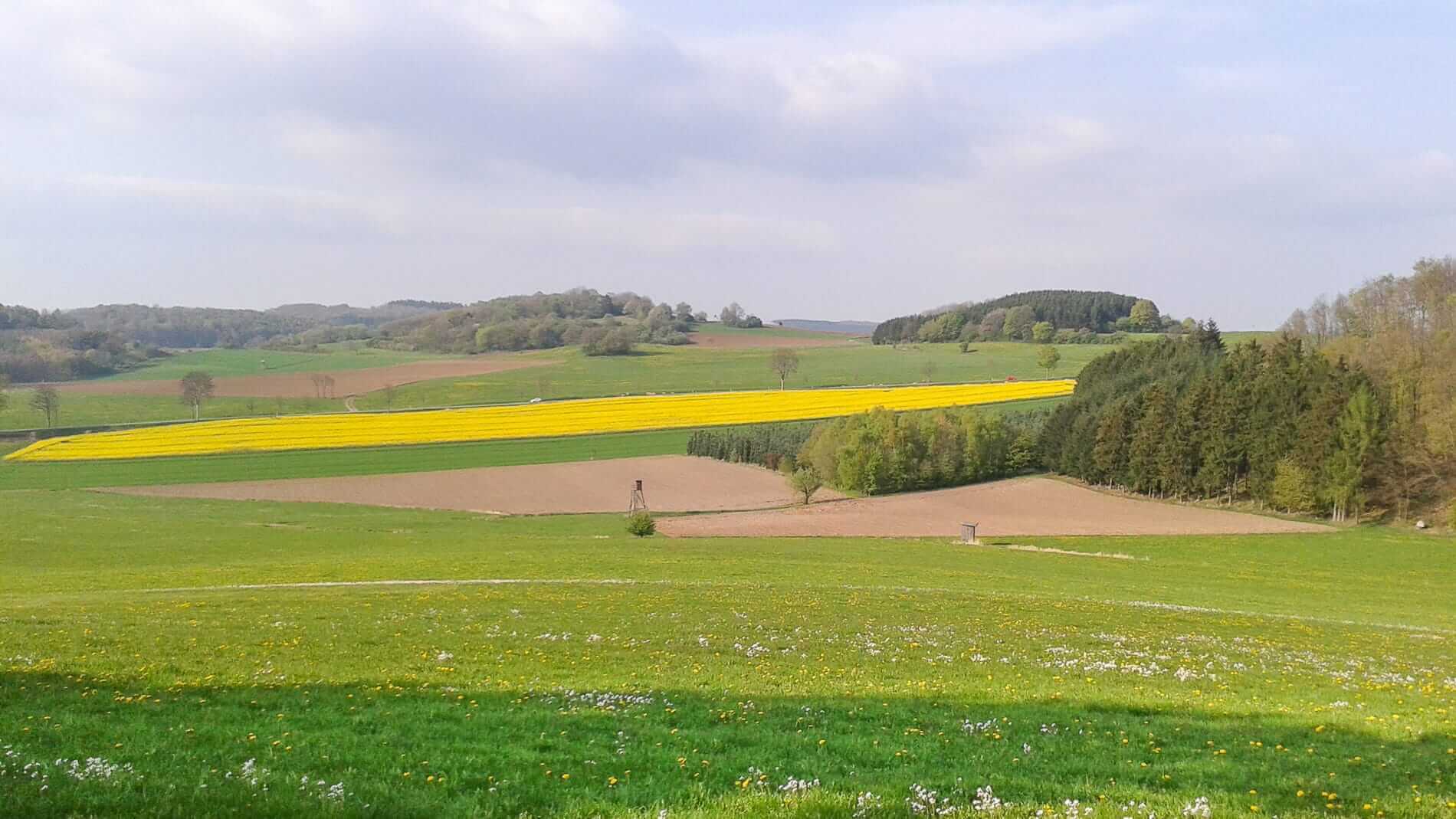 Zusammenarbeiten ist mit Heimatliebe Sauerland moeglich
