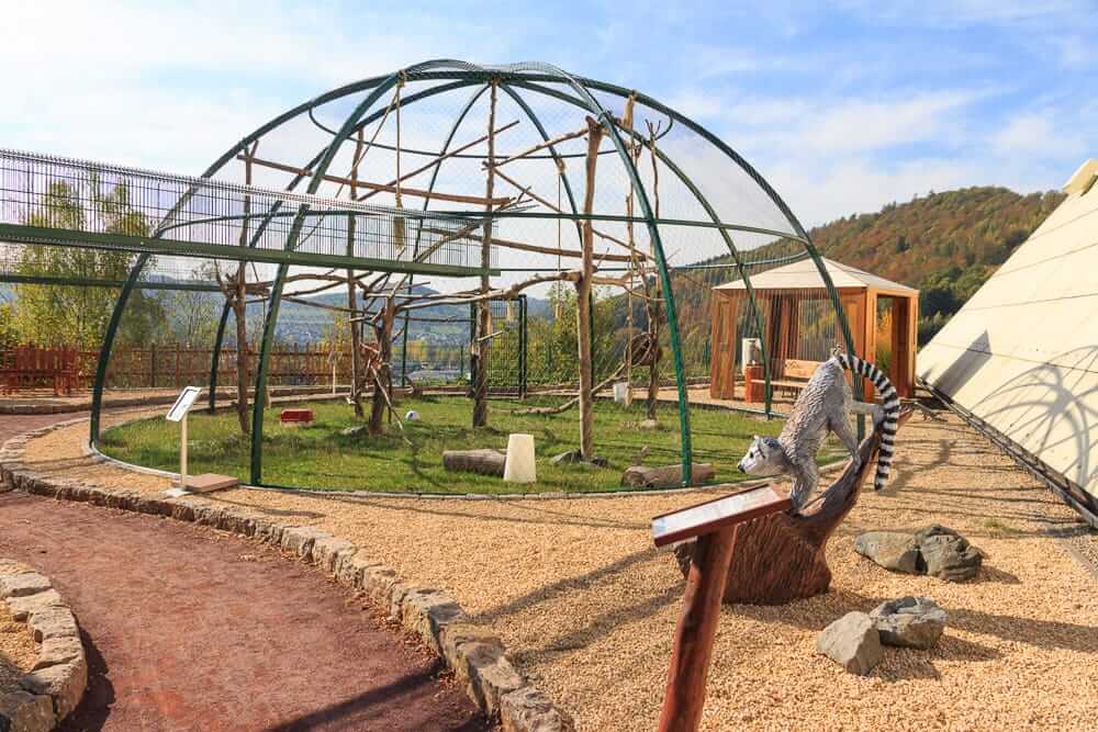 Blick auf das Katta Gehege im Galileo Park im Sauerland