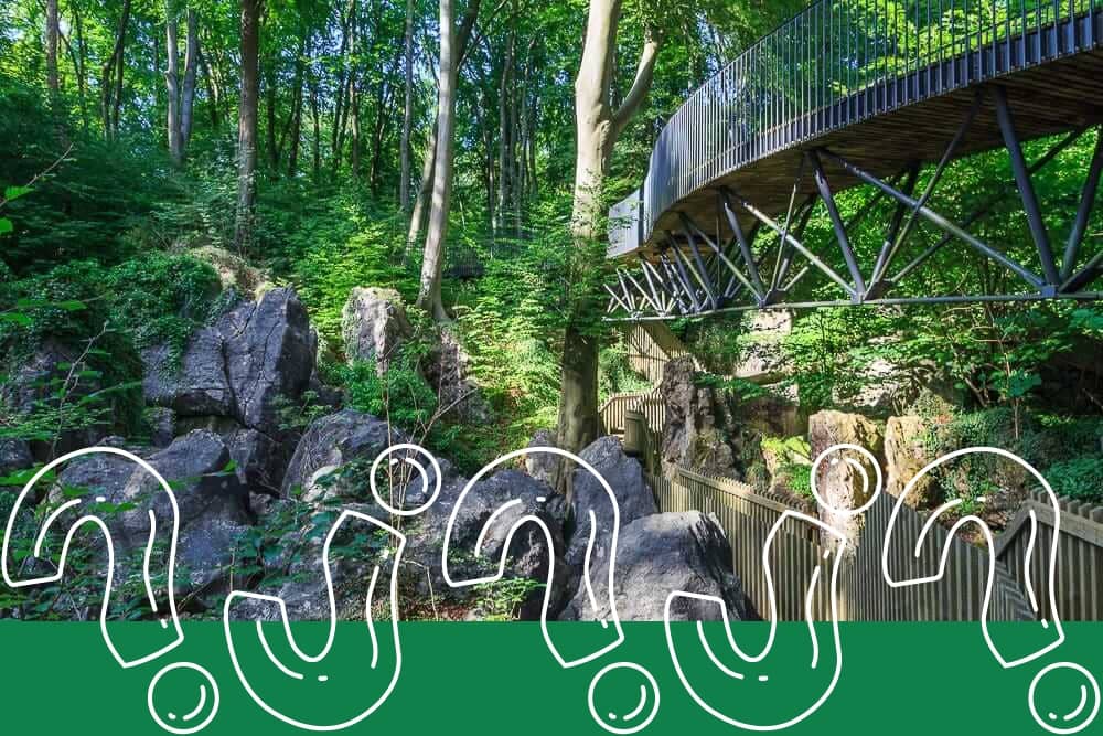 Quiz über die Natur im Sauerland