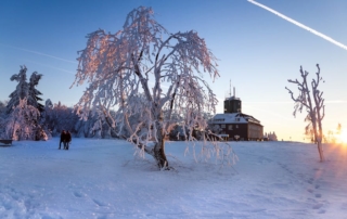 Winterwandern ist ein tolles Winter Ausflugsziele im Sauerland (c)FerienweltWinterberg