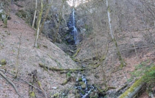 Blick auf die Plästerlegge Wasserfall im Sauerland