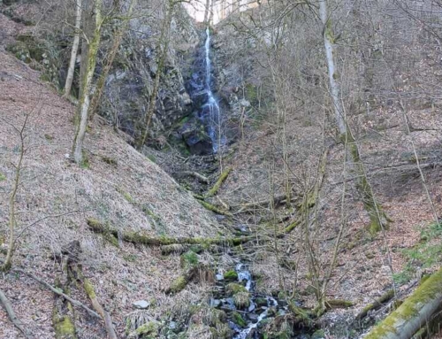 Plästerlegge: Höchster, natürlicher Wasserfall in NRW – Hättest du’s gewusst?