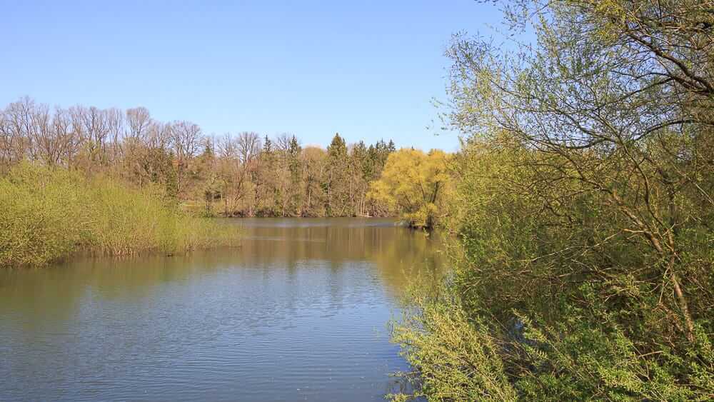 Ausblick auf das Moehneaue Naturschutzgebiet