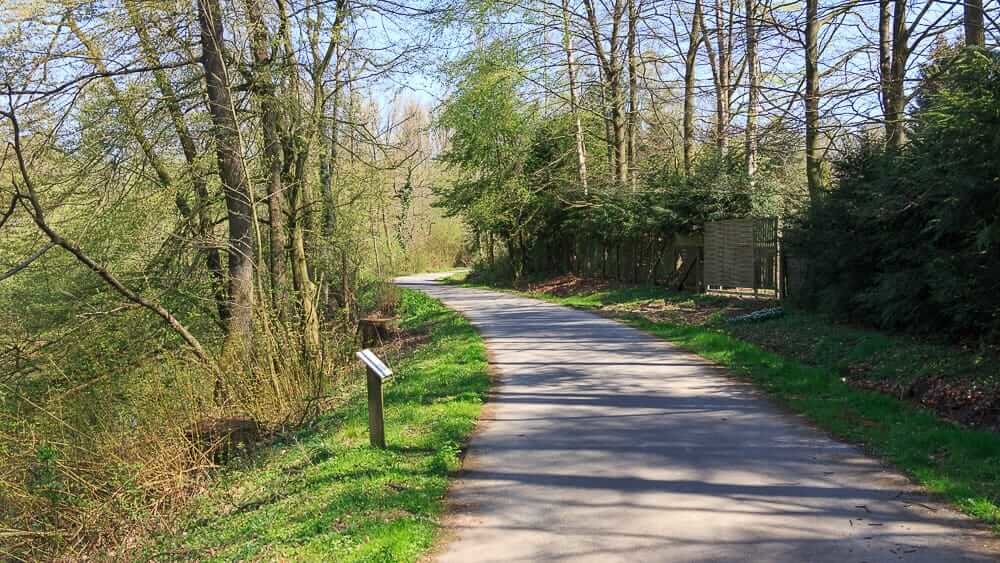 Blick zurück auf dem Naturerlebnisweg Möhneaue