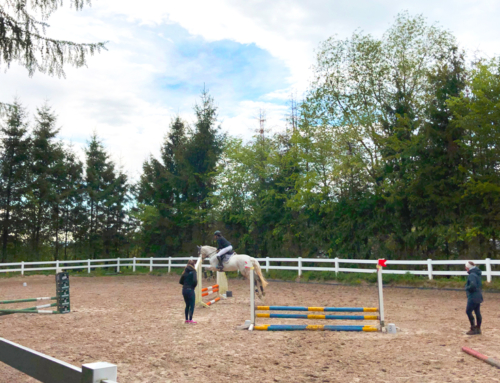 Die Reitabzeichen erfolgreich bestehen – ein Prüfungstag im Sauerland