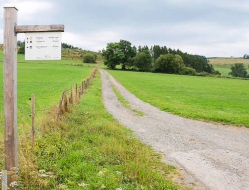 Der Deutsche Wandertag 2019 im Sauerland