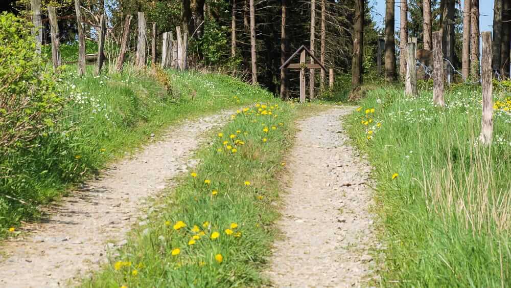 Wandertag im Sauerland