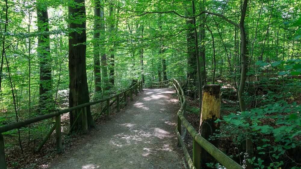 Ein Waldweg im Naturschutzgebiet Felsenmeer Hemer
