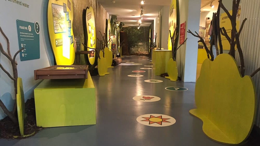 Das Naturparkspiel im Visionarium Diemelsee