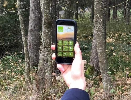 Sauerland App: Dein Begleiter auf dem Smartphone