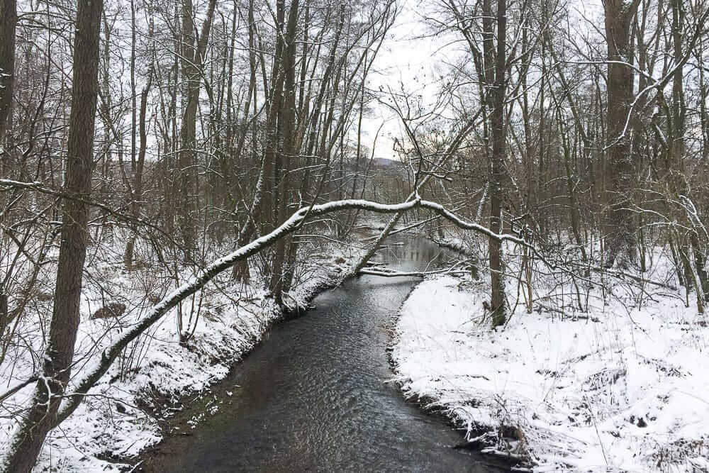 Die Hespe am AiRlebnisweg im Schnee