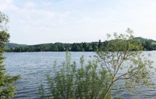 Familien können im Sauerland gut und glücklich leben.