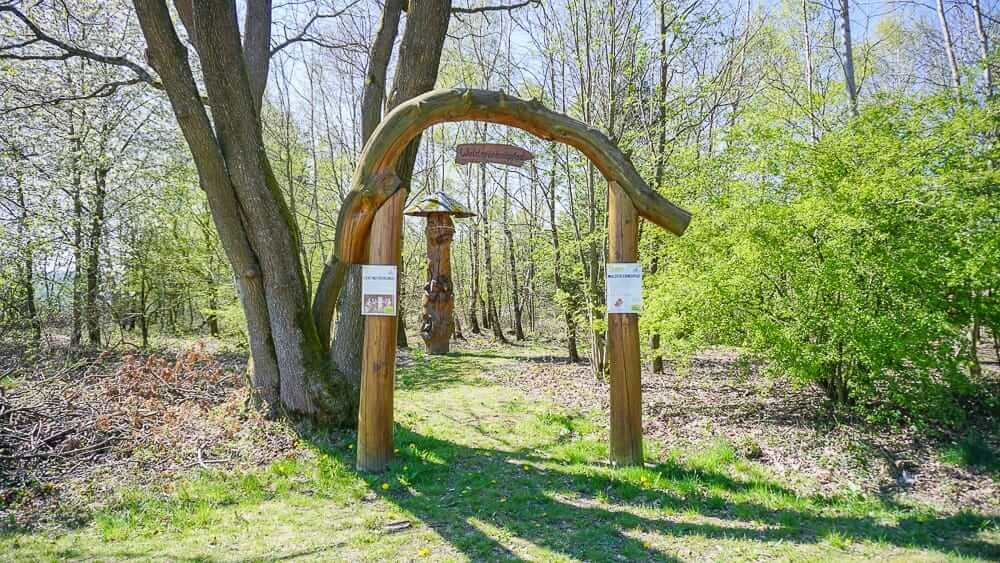 Start vom Walderlebnispfad im Sauerland