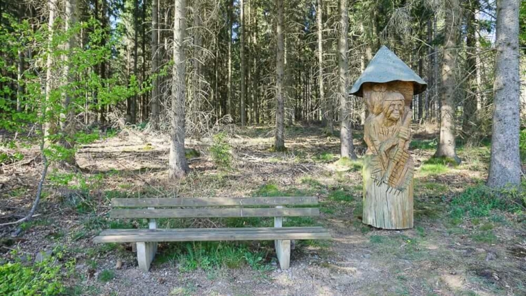 Der Westenfelder Walderlebnispfad im Sauerland