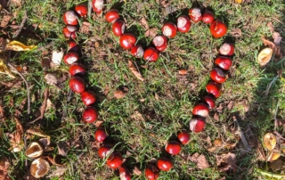 Ausflugsziele im Sauerland Herbst