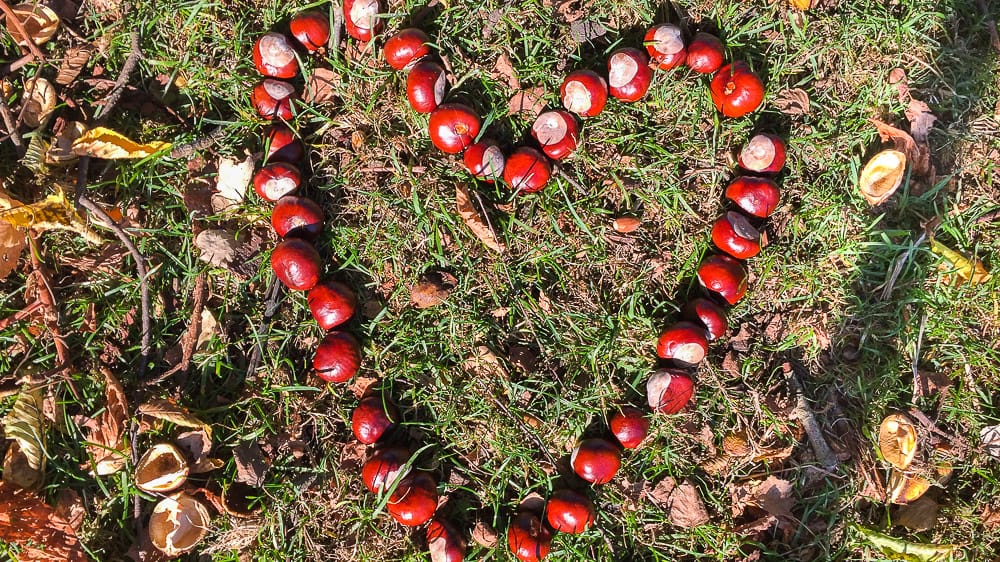 Ausflugsziele im Sauerland Herbst