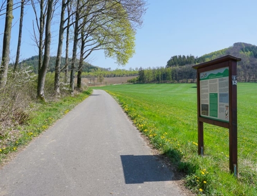 Milchweg Sundern: Informativer Spaziergang auf den Spuren von Lotte