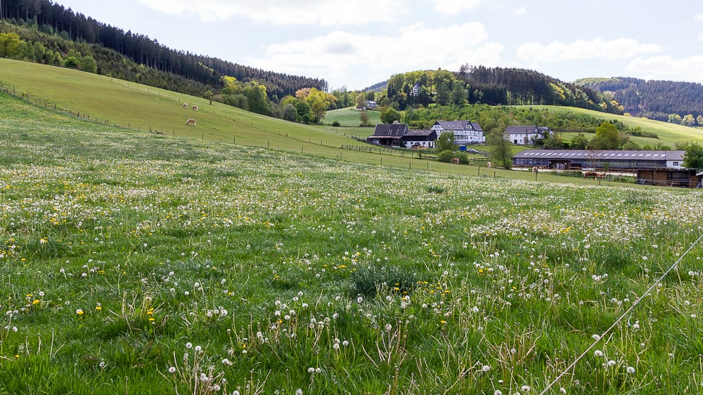 Spaziergang in Wenholthausen