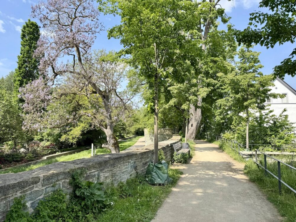 Führung auf dem Wall in Soest ein toller Ausflug vom Möhnesee aus