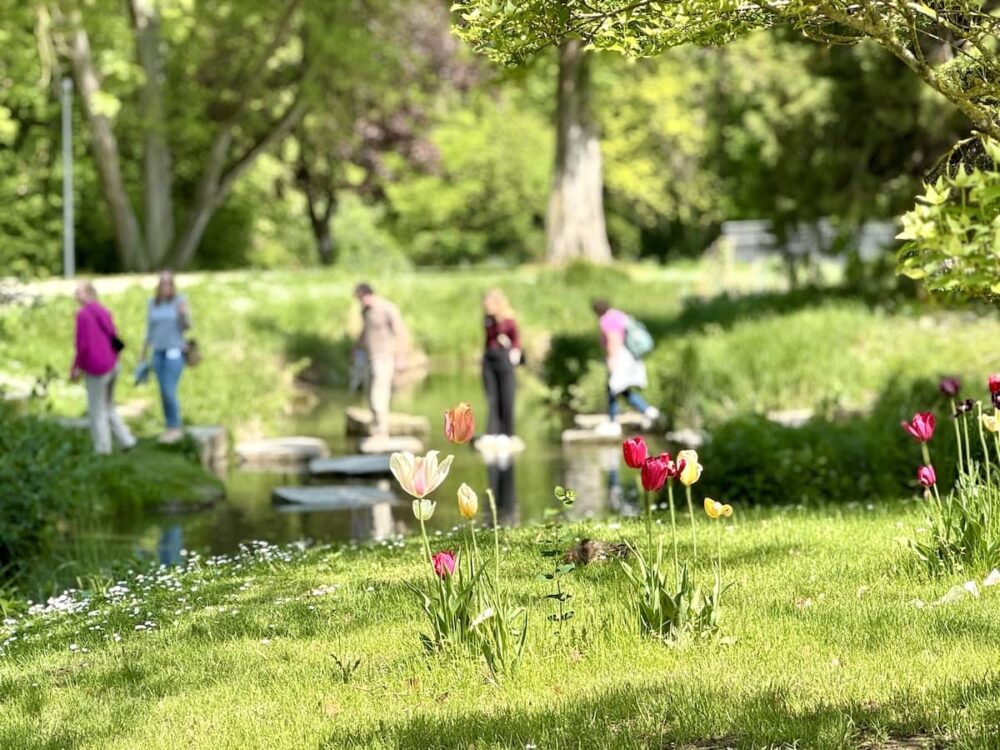 Spaziergang im Kurpark in Bad Sassendorf