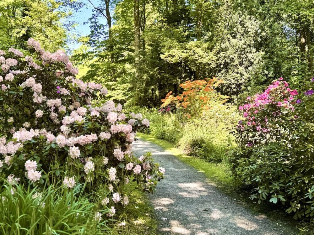Kurpark mit Rhododendronpfad in Bad Sassendorf