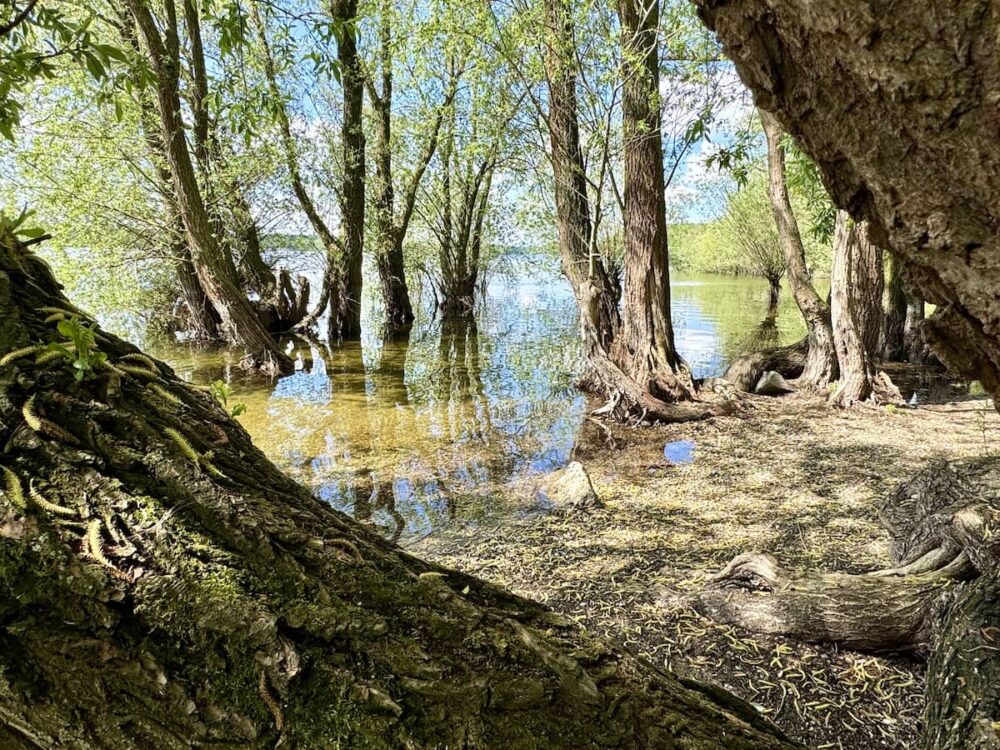 Spaziergang am Seepark am Möhnesee im Sauerland