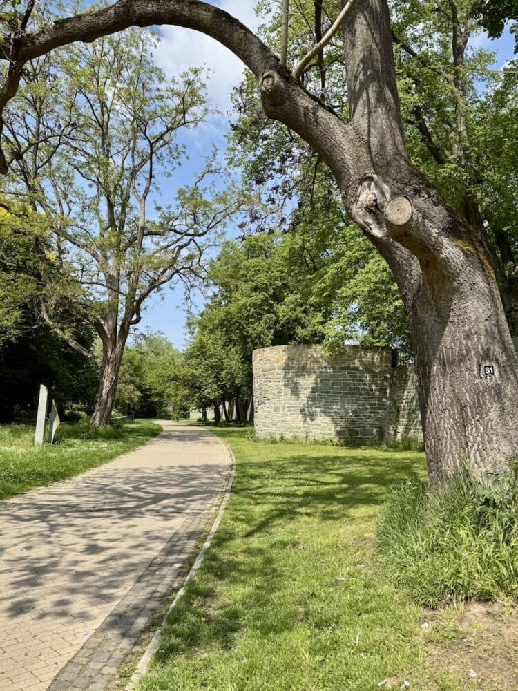 Spaziergang über den Soester Wall