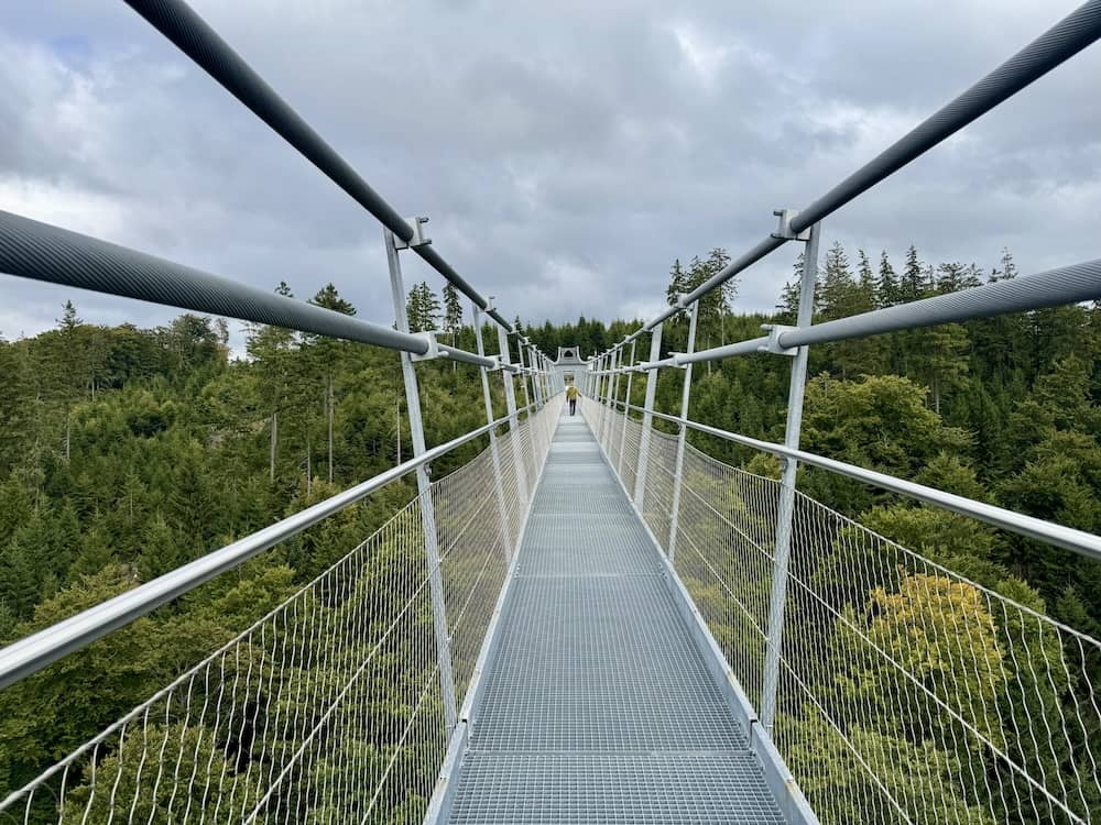 Die Hängebrücke in Willingen Skywalk im Upland